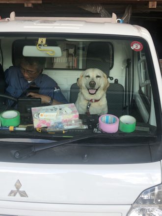 車でご機嫌のオパール