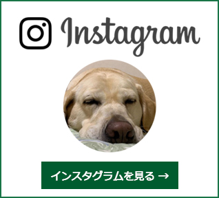 インスタグラム