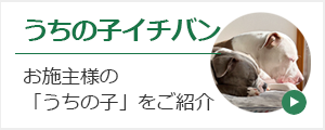 うちの子イチバン