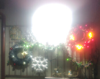 夜のライトアップ