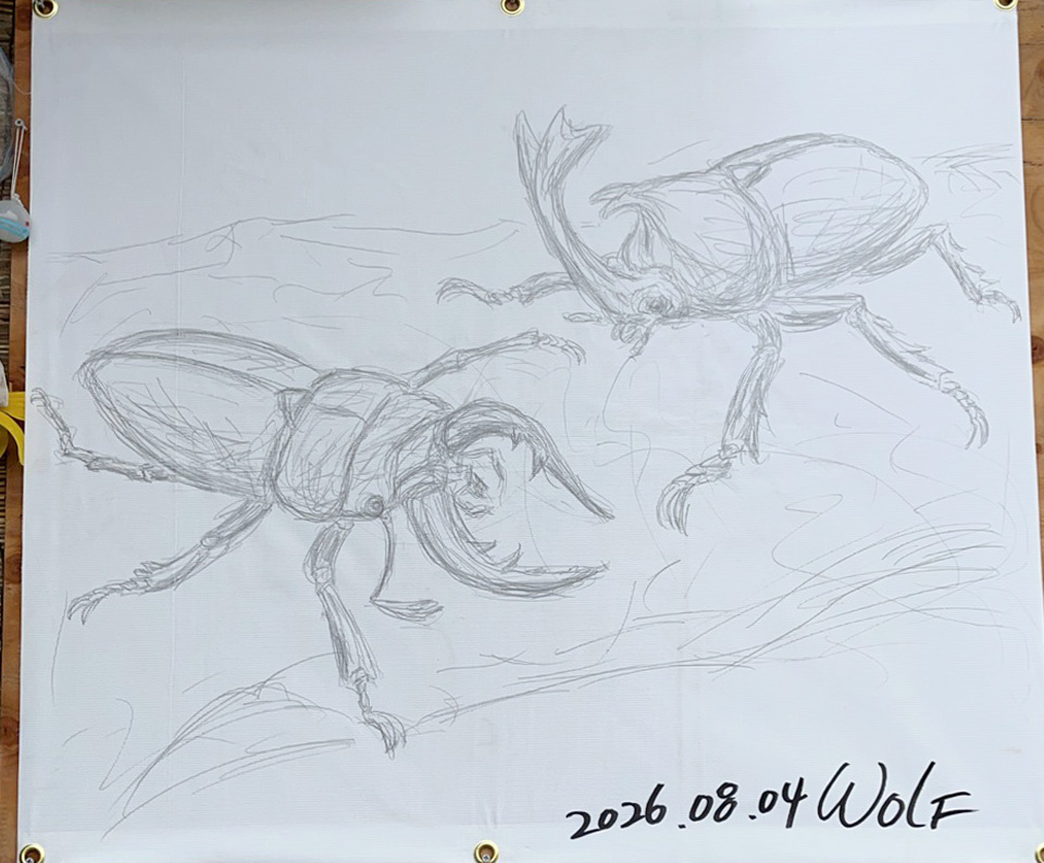 カブトムシとクワガタ