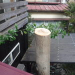 千葉県船橋市O様宅で伐採工事行いました。 千葉県船橋市O様宅で伐採工事行いました。