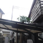 千葉県船橋市O様宅で伐採工事行いました。 千葉県船橋市O様宅で伐採工事行いました。