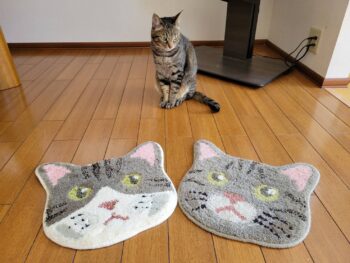ねこかお