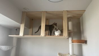 その後