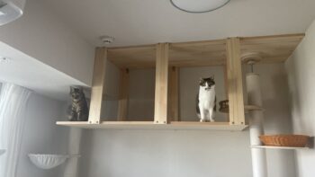 その後
