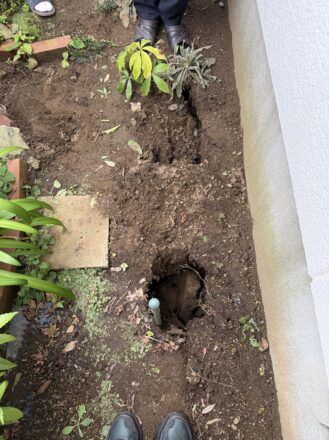 犬走り