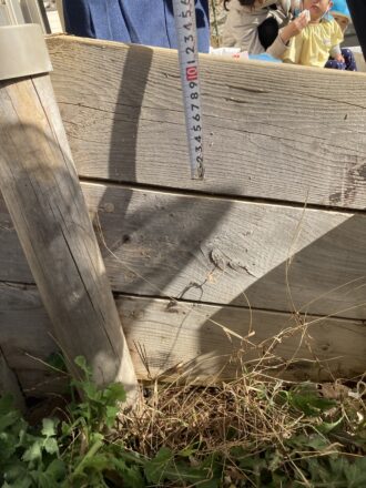 園庭（施工前）