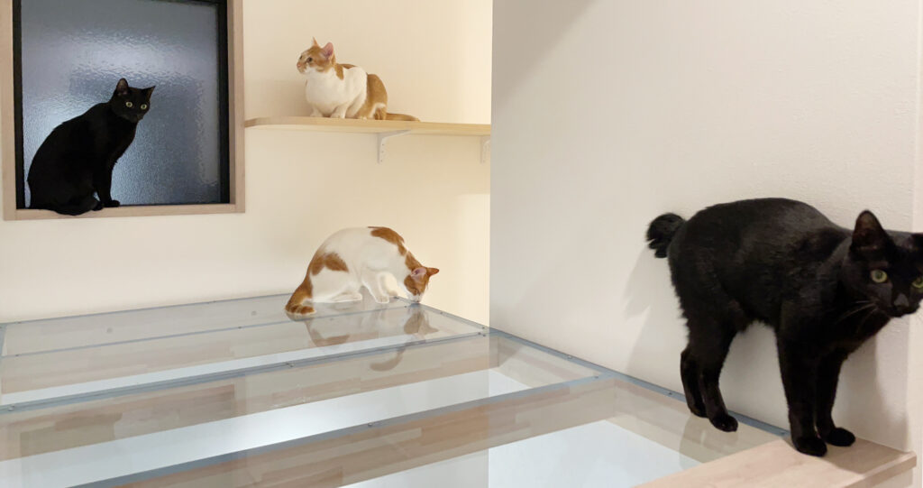 猫転落防止