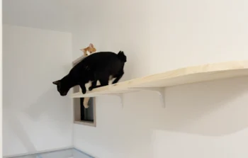 DIYの「見えないコスト」