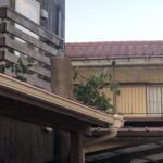 千葉県船橋市O様宅で伐採工事行いました。