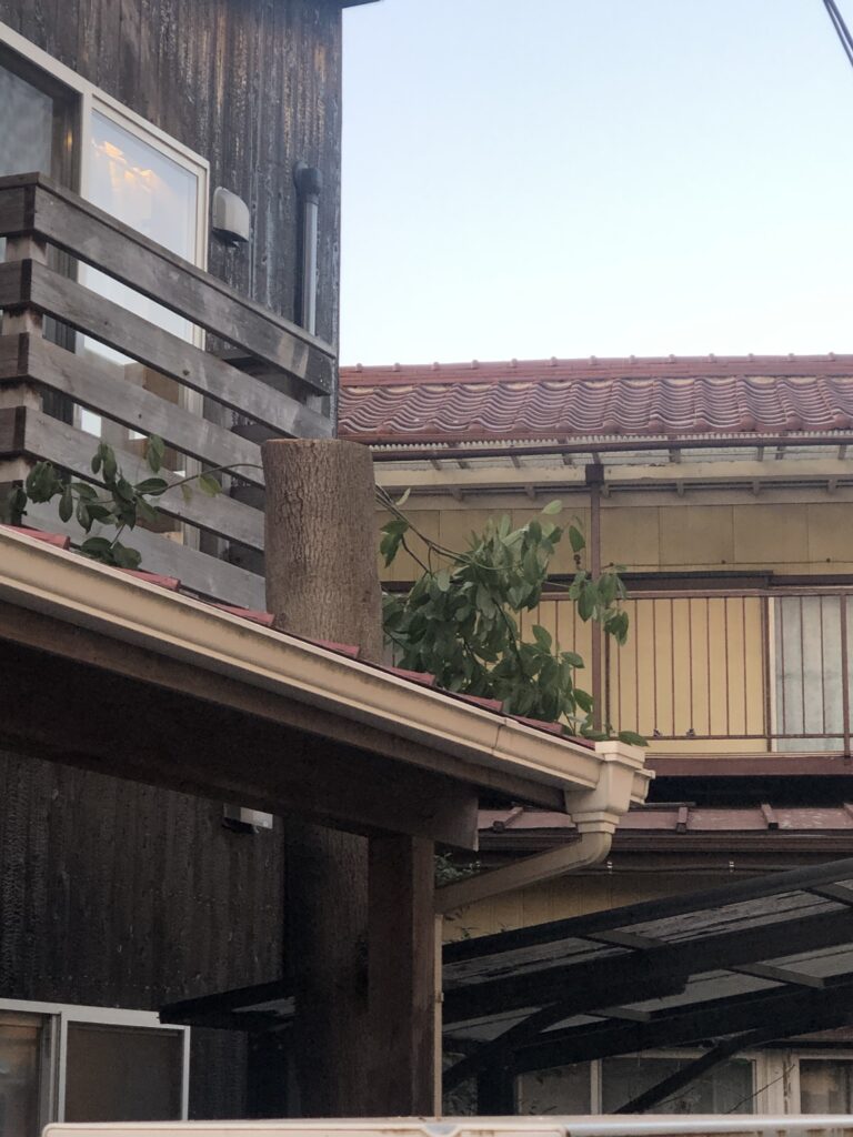 千葉県船橋市O様宅で伐採工事行いました。