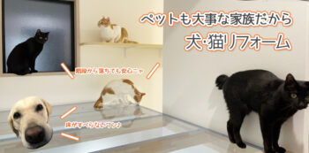 犬猫リフォーム