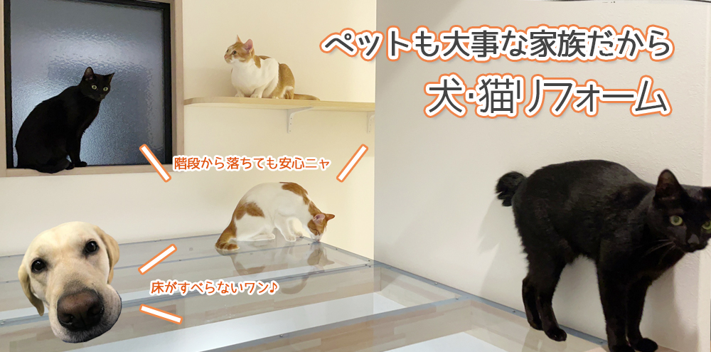 千葉市若葉区の犬猫リフォーム