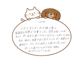 猫の転落防止対策　千葉県 Ｓ様 2026年9月